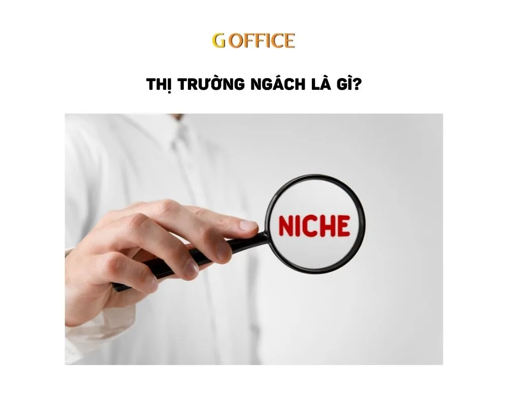Cách chọn niche (thị trường ngách) tiềm năng và ít cạnh tranh trong Affiliate – Bí quyết thành công từ các doanh nhân thực thụ